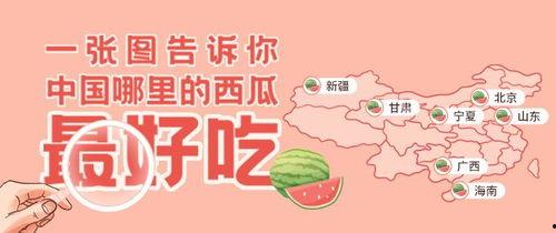 朝阳吃瓜群众一枚,揭秘京城街头巷尾的热辣话题
